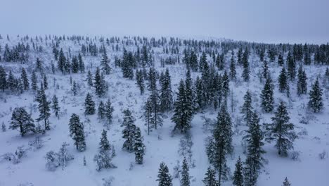 Aerial-view-around-people-walking-in-middle-of-snowy-forest,-gloomy-day-in-Lapland