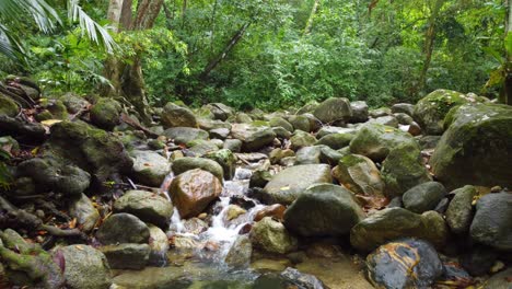 Gesunde-Mischung-Aus-Wasserstrom-Zwischen-Felsen-Vor-Tropischer-Flora