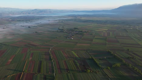 Vista-Aérea-De-Vibrantes-Parcelas-De-Primavera-Por-La-Mañana-Mientras-La-Niebla-Se-Levanta-De-Los-Campos-Agrícolas-En-Una-Amplia-Vista-Aérea