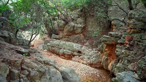 Eine-Felsige-Schlucht-Im-Norden-Israels