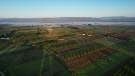 Dawn's-Glow:-Sunlight-Illuminates-Agricultural-Parcels-in-Cultivated-Farmland-tended-by-Farmers
