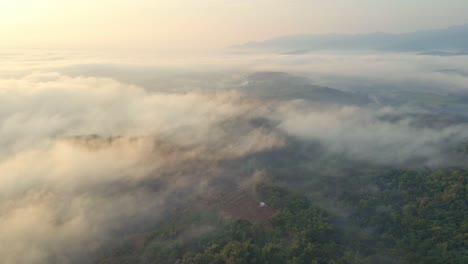 Aerial-view-of-tropical-rainforest-shrouded-by-fog-in-the-morning