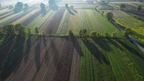 Nebliger-Morgen:-Geometrische-Formen-Bunter-Landwirtschaftlicher-Parzellen,-Eingehüllt-In-Gelbe-Und-Grüne-Farbtöne