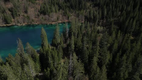 Eine-Luftaufnahme-Zeigt-Das-Satte-Grün-Und-Das-Lebendige-Wasser-Des-Cresta-Sees-In-Graubünden,-Schweiz,-Und-Veranschaulicht-Die-Essenz-Natürlicher-Schönheit-Und-Abenteuer-Im-Freien