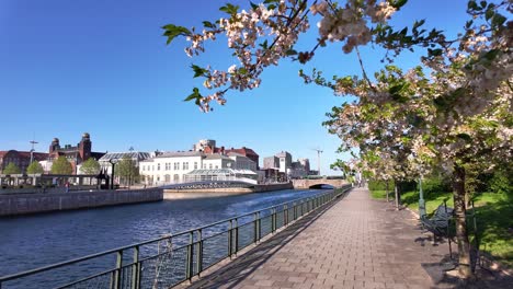 Wunderschöne-Frühlingslandschaft-Mit-Blüten-An-Einem-Sonnigen-Tag-In-Malmö,-Zeitlupe