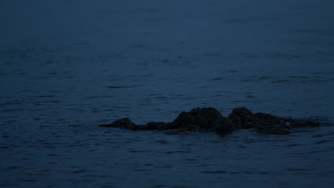 Agua-Que-Fluye-Roca-Redonda-En-El-Mar-A-La-Luz-Oscura-De-La-Noche,-Cámara-Lenta