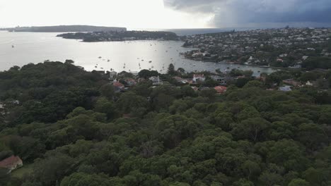 Luftflug-über-Die-Grünen-Bäume-In-Richtung-Der-Luxuriösen-Wohnanlage-Mit-Meerblick-Und-Häusern-Am-Hafen-Von-Sydney-Bei-Sonnenaufgang