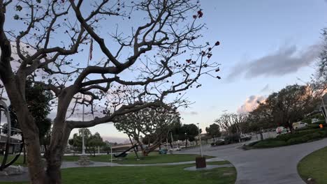 Wide-angle-view-of-a-peaceful-park-in-Long-Beach,-California-during-twilight,-featuring-a-unique-sculpture-and-barren-tree