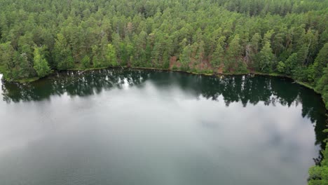 La-Antena-Gira-Sobre-La-Orilla-Del-Lago-Del-Bosque-Boreal-Verde,-Agua-Fría-Y-Oscura