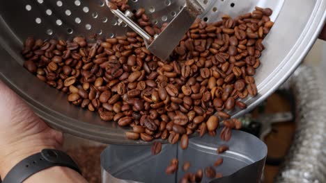 Pouring-Roasted-Coffee-Beans-From-Stainless-Steel-Container-Into-Bag,-Close-Up