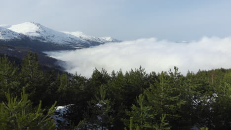 Luftaufnahme-Von-Wunderschönen-Nadelwaldhängen,-Die-Von-Schwebenden-Wolken-Bedeckt-Sind,-Schneebedeckter-Berggipfel-In-Der-Ferne,-Sonniger-Wintertag,-Schwenken-Nach-Links