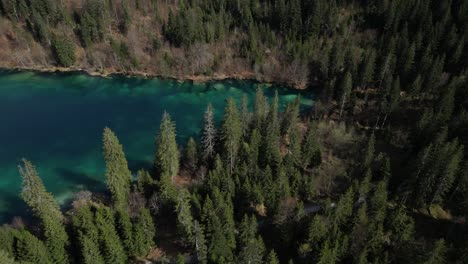 An-aerial-view-highlights-the-lush-foliage-and-vivid-waters-of-Cresta-See-in-Graubünden,-Switzerland,-embodying-the-essence-of-natural-beauty-and-outdoor-adventure