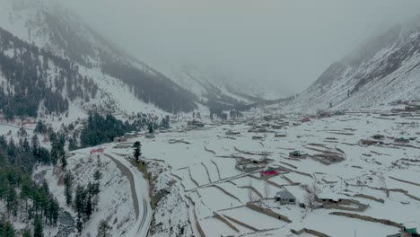 Vista-De-Perfil-Del-Valle-Nevado-De-Naltar-En-Gilgit,-Pakistán