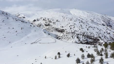 Drone-view-of-beautiful-mountain-slopes-full-of-conifer-trees-covered-in-snow-mountain-peak-at-the-distance-day