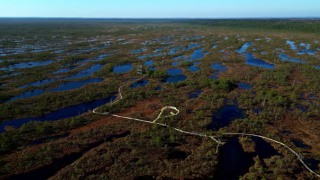 Aerial-View-of-Big-Wetlands-Area-and-Elevated-Pedestrian-Pathway-For-Tourist