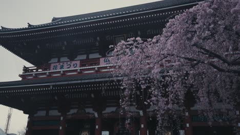 The-Main-Hall-Of-Sensoji-Temple,-Buddhist-Temple-In-Asakusa,-Tokyo,-Japan