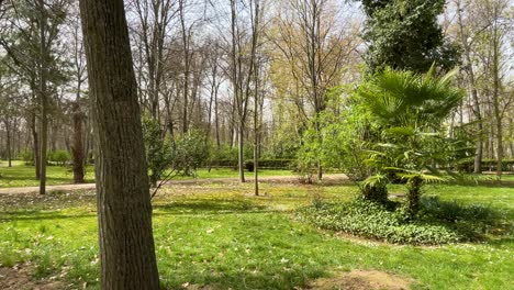 filming-of-a-garden-area-with-green-soil,-varied-trees,-some-with-leaves,-others-not,-hedges-with-shapes,-young-palm-trees,-there-is-a-dirt-path-to-walk-in-the-Jardin-del-Principe-Aranjuez,-Spain