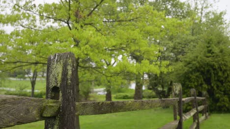 Holzzaun-Im-Freien-Mit-Bäumen-Und-Sträuchern-Im-Hintergrund