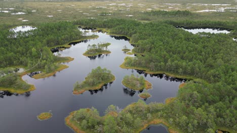 Low-flyover-of-black-water-bog-wetland,-black-reflective-lake-surface