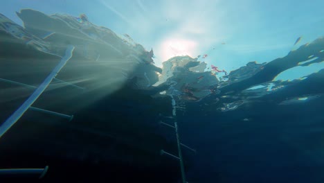 Water-light-reflection-coming-from-above-skyline,-divers-going-out-pool