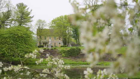 Weiße-Frühlingsblüten-Wehen-Im-Wind-Mit-Einem-Haus-Im-Kolonialstil-Im-Hintergrund