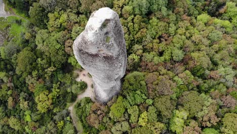 Aguja-De-Roca-Alrededor-De-Un-Bosque-Filmada-Desde-Arriba