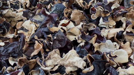 Fresh-wild-mushrooms-drying-process,-close-up-motion-view