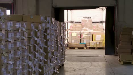 Warehouse-interior-with-sunlight-streaming-through-open-dock-door,-rows-of-cardboard-boxes-labeled-and-ready-for-shipping