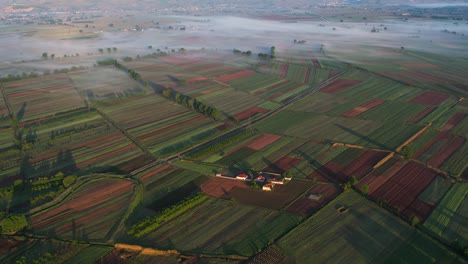 Dawn-in-Colorful-Spring-Parcels-on-the-Morning-Farm-Fields-Abloom-with-Diverse-Vegetation,-Sunrays-in-Europe