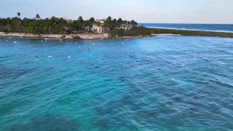 Drohnenaufnahme-Der-Bucht-Von-Akumal-Und-Möwen,-Die-über-Dem-Meer-Fliegen