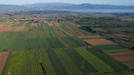 Village-in-Field-of-Korca-Albania,-Colorful-Agricultural-Parcels,-Spring's-First-Sunrays-and-Blossoming-Beauty