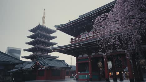Famous-Senso-ji-Oldest-Temple-In-Asakusa,-Tokyo,-Japan