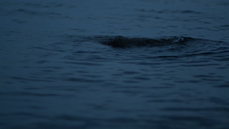 Water-flowing-round-rock-at-sea,-dark-evening-light