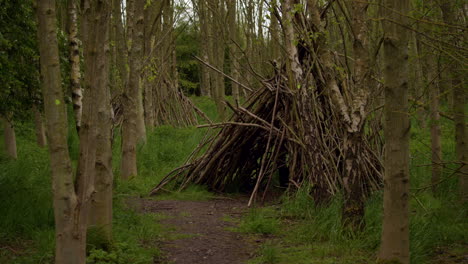 wide-shot-of-a-Bivouac-Shelter-Built-Around-a-Forest-Tree