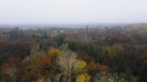 Relaxation-amidst-nature,-soaring-above-the-Arboretum-in-Kecskemet,-Hungary