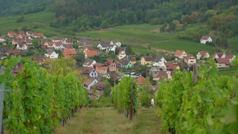 Comunidad-Vitivinícola-En-La-Ruta-Del-Vino,-Riquewihr-Cuenta-Actualmente-Con-1228-Habitantes-Y-Es-Miembro-De-La-Asociación-De-Los-Pueblos-Más-Bellos-De-Francia