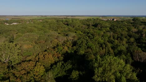 Drone-flying-towards-a-green-forest-over-the-trees-in-the-Netherlands