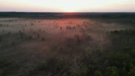 Sunrise-beams-and-long-golden-shadows-in-fog,-forest-bog,-low-flyover