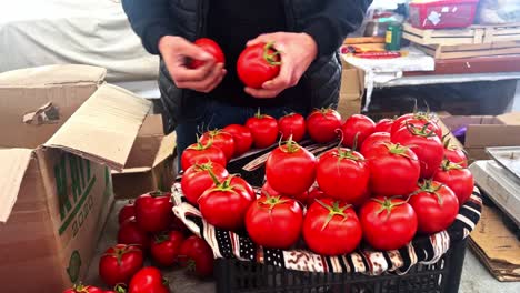 The-girl-buys-tomatoes-in-the-store