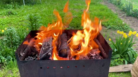 Flames-flicker-on-grill-in-nature-surrounded-by-flowers-and-grass-and-simple-barbecue-in-scenic-setting