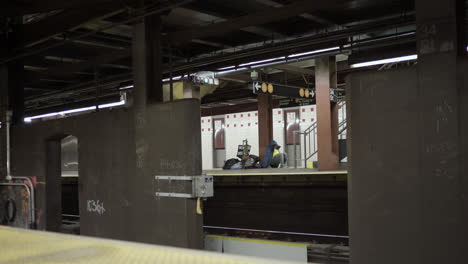 Plataforma-Del-Metro-De-La-Ciudad-De-Nueva-York-Con-Una-Mujer-Sin-Hogar-Y-Un-Marco-De-Cruce-De-Trenes