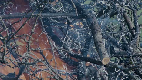 Burning-pile-stack-of-tree-branches-close-up-time-lapse