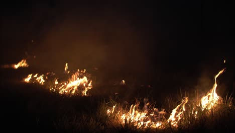Incendio-Forestal-En-La-Noche