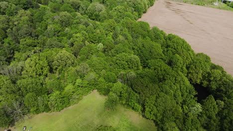 Vista-Aérea-Por-Drones-De-Bosques-Densamente-Verdes-Cerca-De-Collierville-En-El-Condado-De-Shelby,-Tennessee,-Estados-Unidos