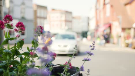 Cámara-Lenta-De-Autos-Dando-Vueltas-En-Una-Rotonda-Con-Flores-Rojas-Y-Moradas-Enfocadas-En-Primer-Plano