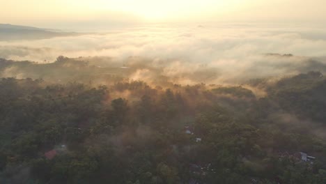 Aerial-view-of-foggy-morning-in-tropical-countryside