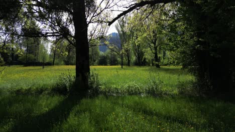 Slider-Shot-Of-Magical-Green-Meadow-In-Weesen-Mountain,-St