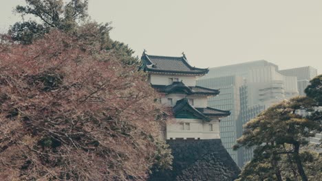 Fujimi-yagura-Watchtower-Behind-A-Sakura-Tree-In-Tokyo-Japan