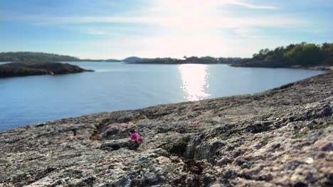 Friedliche-Szene-Von-Der-Südküste-Norwegens-Mit-Einem-4K-Looping-Video