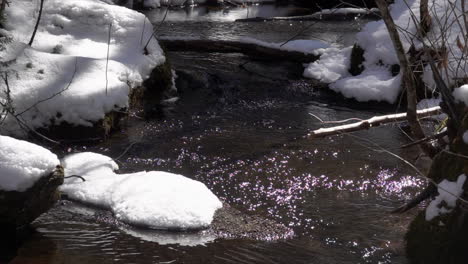 Slow-motion-of-mountain-stream-during-the-spring-thaw